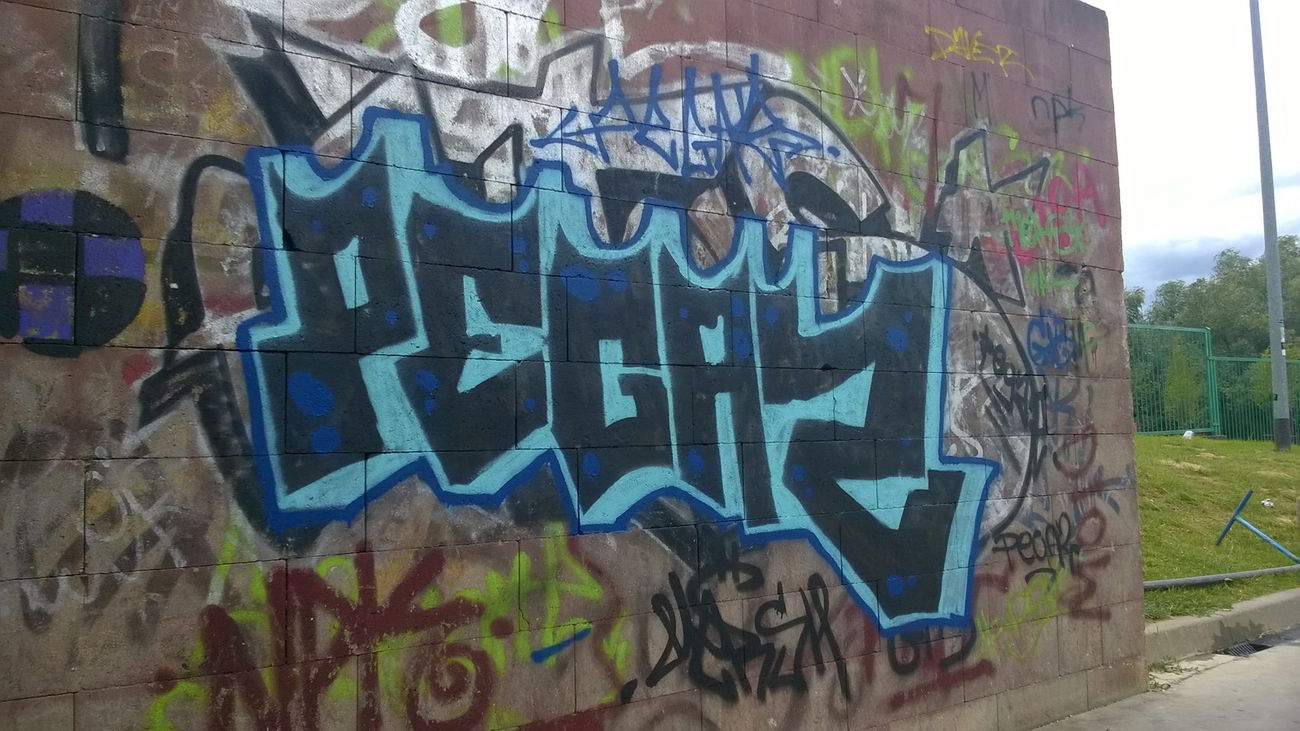 Graffiti Bombing - Photo by PeGaZ