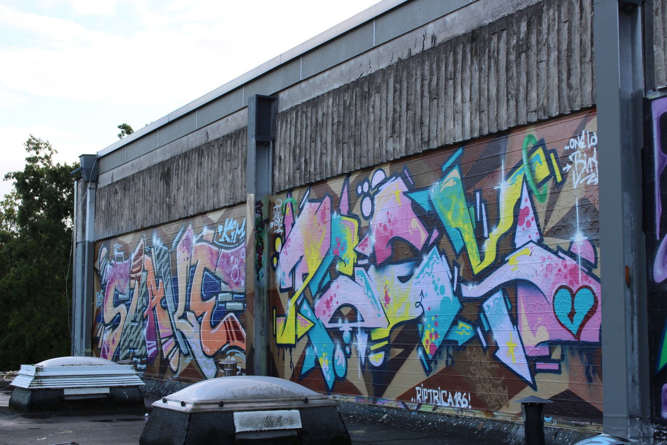 Graffiti Wall in Deutschland - Photo by Peak1 - Peak1, Shake (2015)