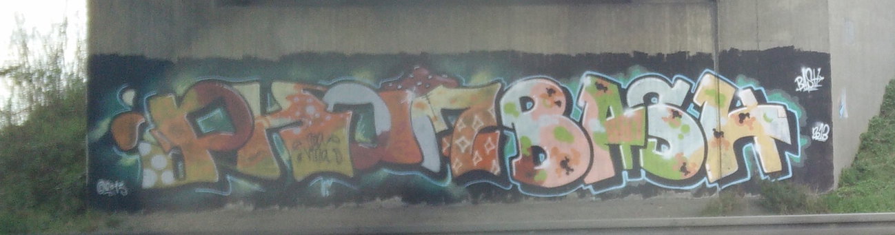 Graffiti in Erftstadt - Photo by Pentabarf - phame, bash, bash581 (2013)