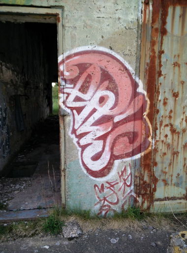 Graffiti Bombing in Deutschland - Photo by Pentabarf - eifel, reetz, nikeairstation