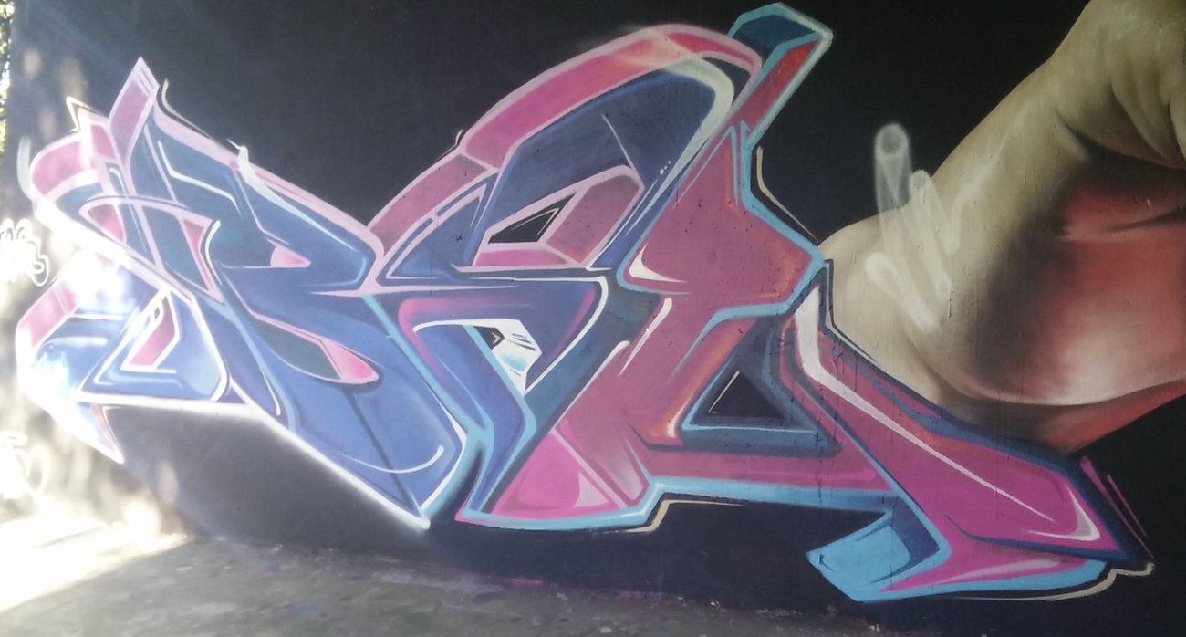 Graffiti Wall in Amsterdam - Photo by Pentabarf - amsterdam, flevopark