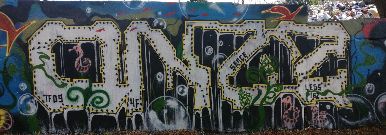 Graffiti Wall in Köln - Photo by Pentabarf - cgn, cologne, Köln (2018)