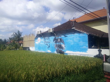 Graffiti Wall in Indonesia - Photo by Pentabarf - indonesia, indonesien, ubud