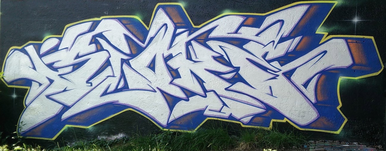 Graffiti Wall in Amsterdam - Photo by Pentabarf - amsterdam, Flevopark
