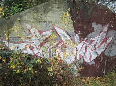 Graffiti Bombing - Photo by Pentabarf - Zowie, L5, Eifel