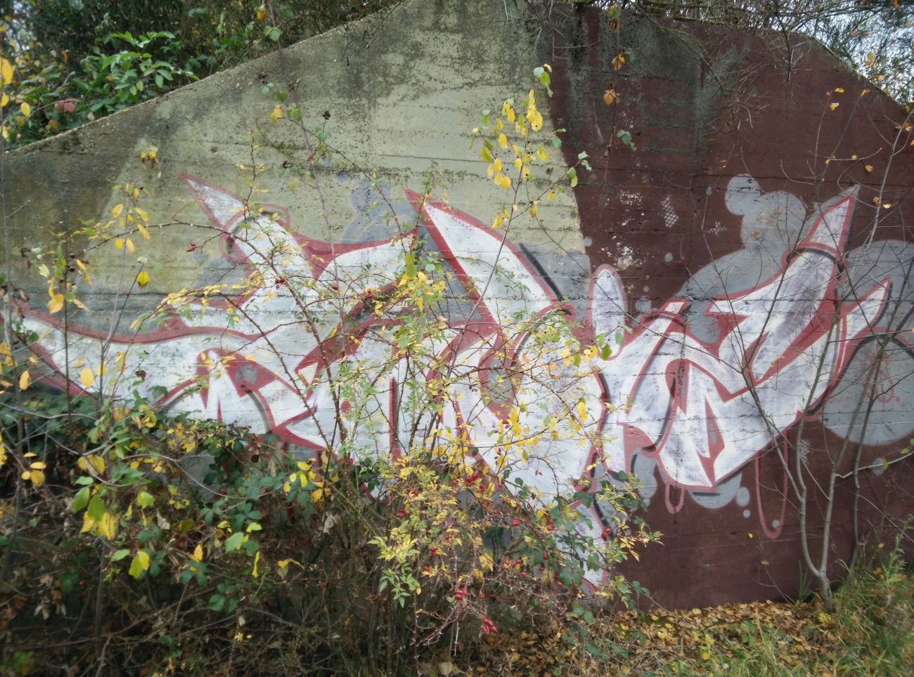 Graffiti Bombing - Photo by Pentabarf - Zowie, L5, Eifel