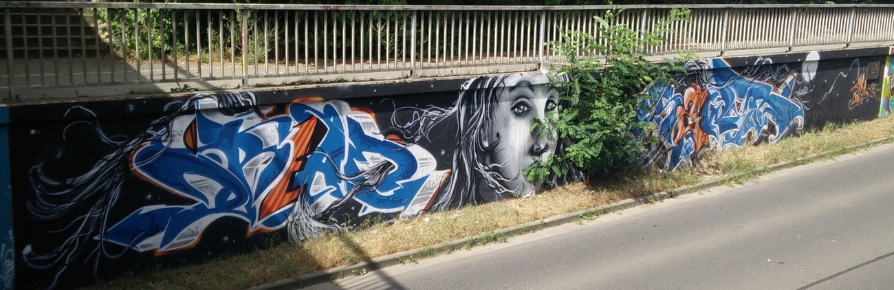Graffiti in Deutschland - Photo by Pentabarf - brühl, walloffame, dream (2016)