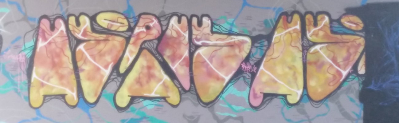 Graffiti Wall in Amsterdam - Photo by Pentabarf - amsterdam, flevopark