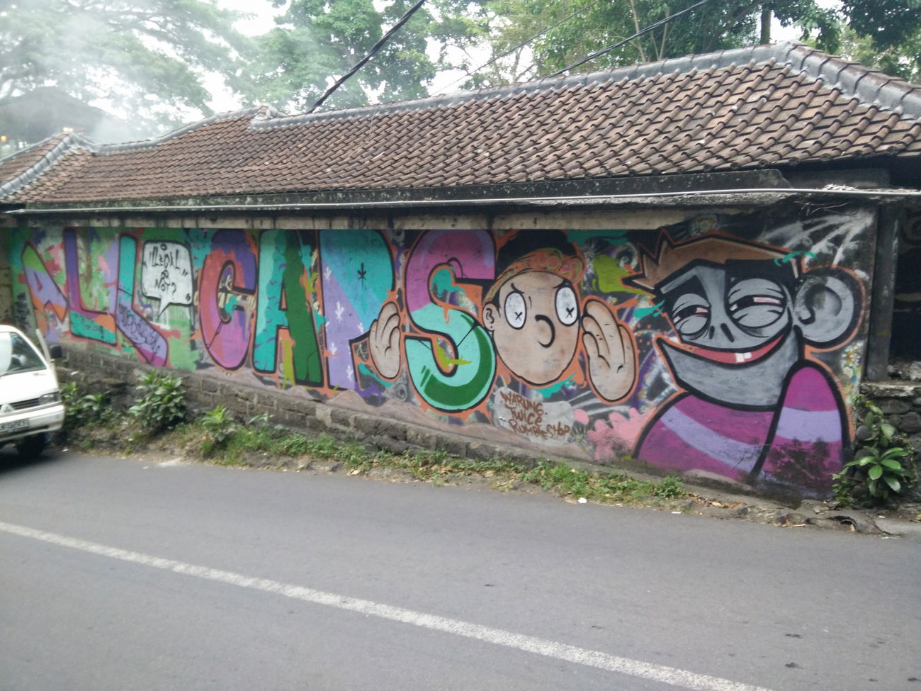 Graffiti Wall in Indonesia - Photo by Pentabarf - indonesia, indonesien, ubud