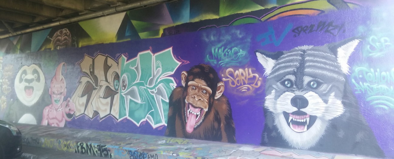 Graffiti Wall in Amsterdam - Photo by Pentabarf - amsterdam, flevopark, character