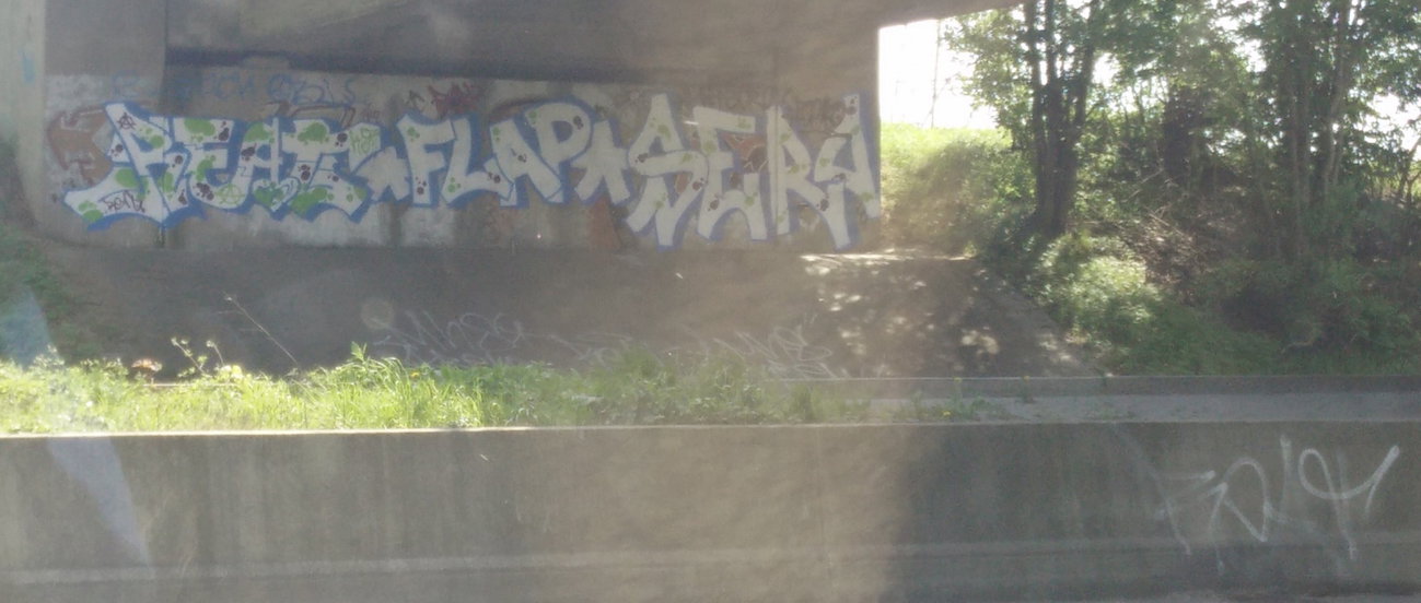 Graffiti in Deutschland - Photo by Pentabarf - A1, Euskirchen, Reat (2016)