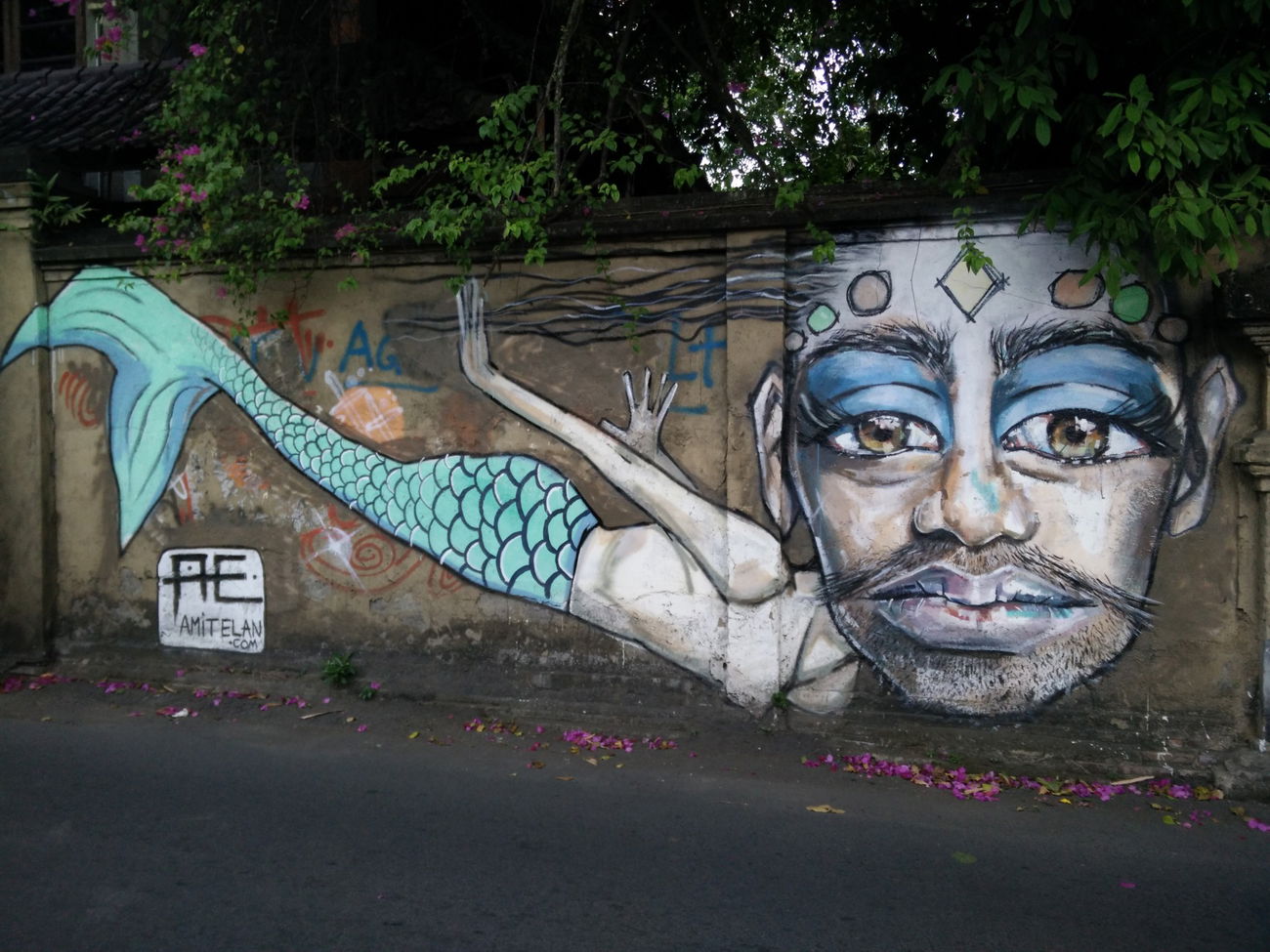 Graffiti Street Art in Indonesia - Photo by Pentabarf - indonesia, indonesien, ubud