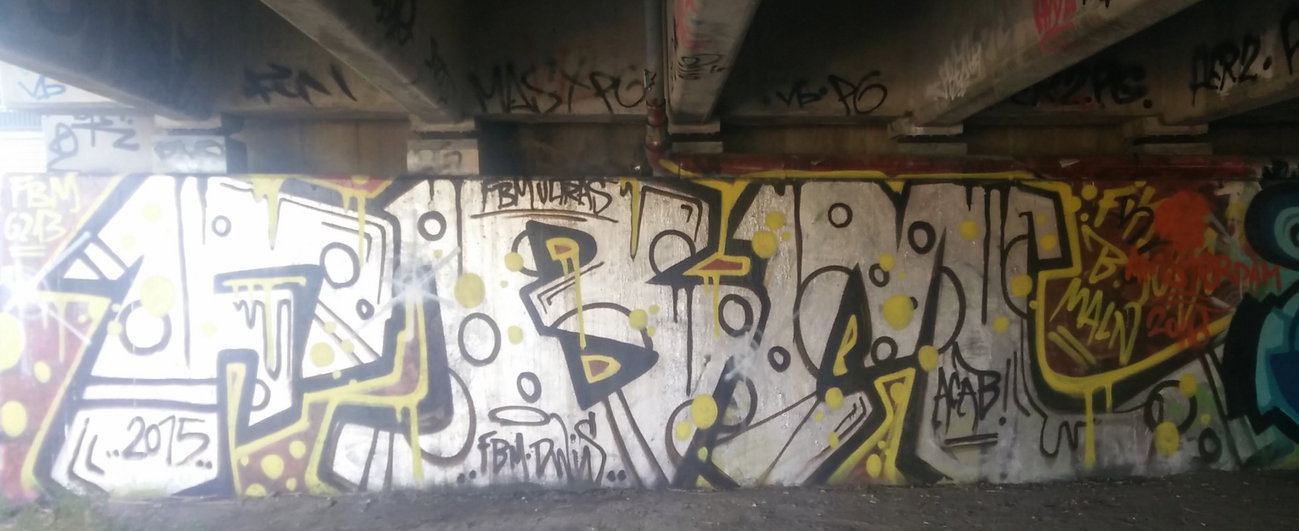 Graffiti Wall in Amsterdam - Photo by Pentabarf - amsterdam, flevopark