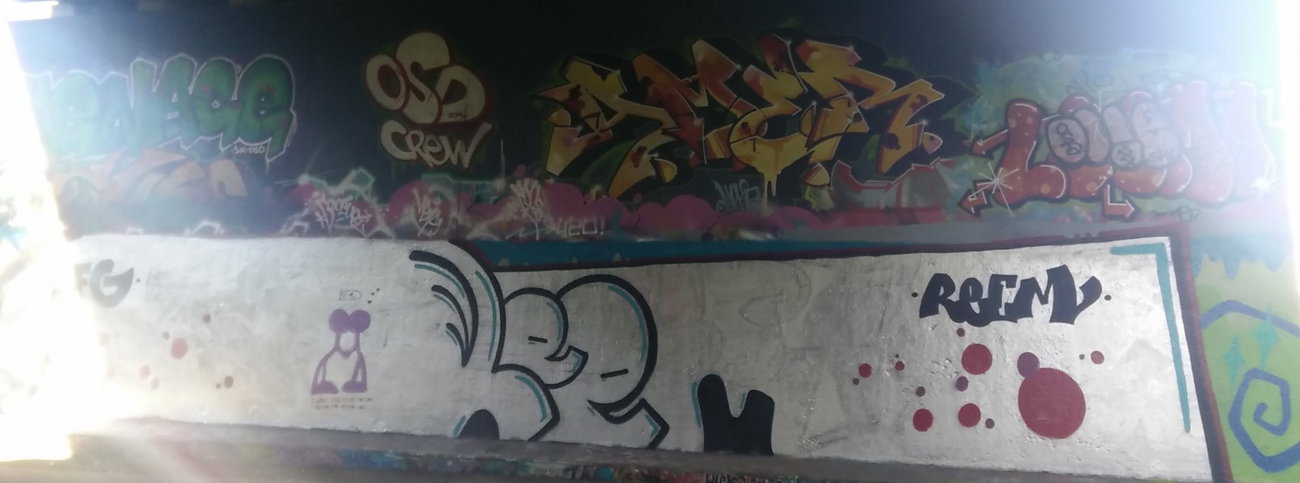 Graffiti Wall in Amsterdam - Photo by Pentabarf - amsterdam, flevopark