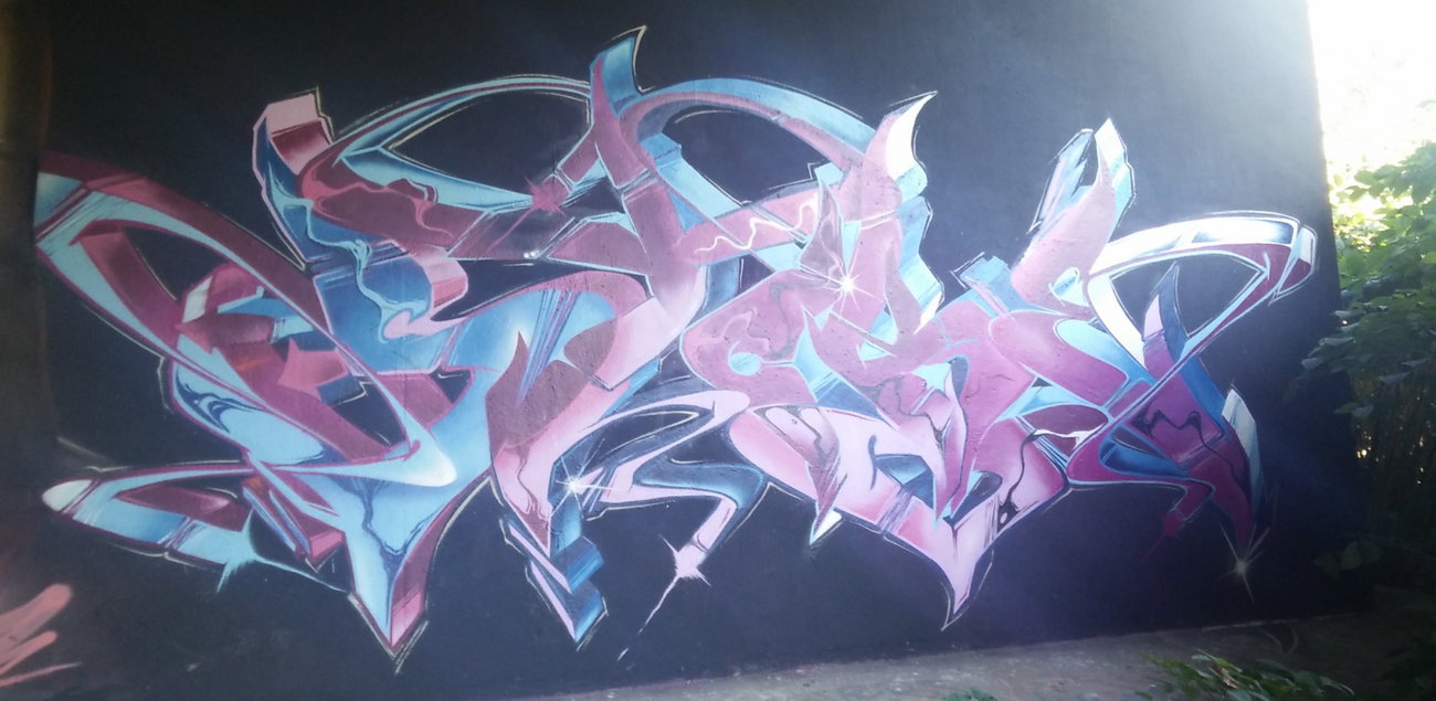 Graffiti Wall in Amsterdam - Photo by Pentabarf - amsterdam, flevopark