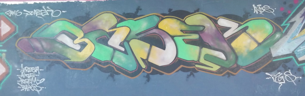 Graffiti Wall in Amsterdam - Photo by Pentabarf - amsterdam, flevopark
