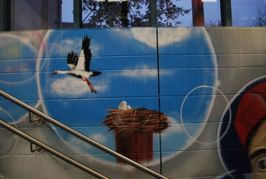 Graffiti Wall - Photo by PepperSprayCans