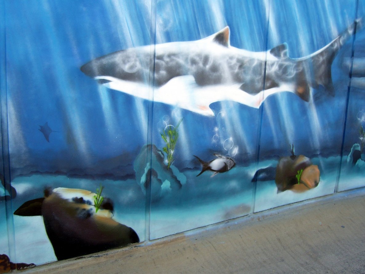 Graffiti Wall - Photo by PepperSprayCans