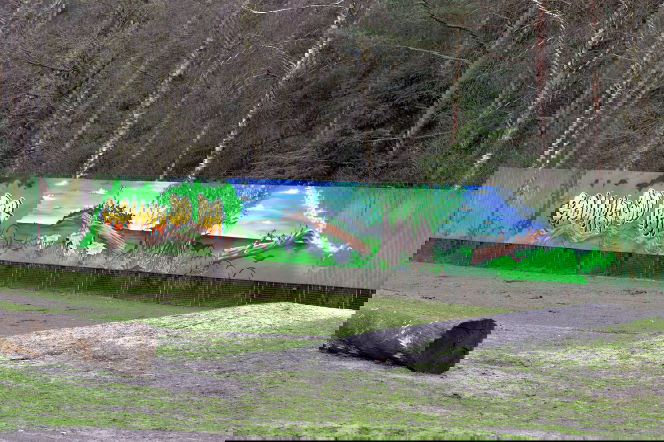 Graffiti Wall - Photo by PepperSprayCans