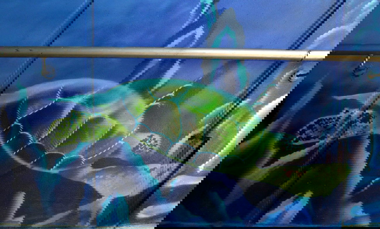 Graffiti Wall - Photo by PepperSprayCans