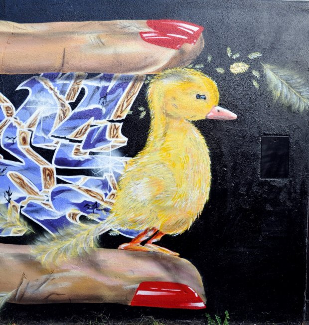 Graffiti Wall - Photo by PepperSprayCans