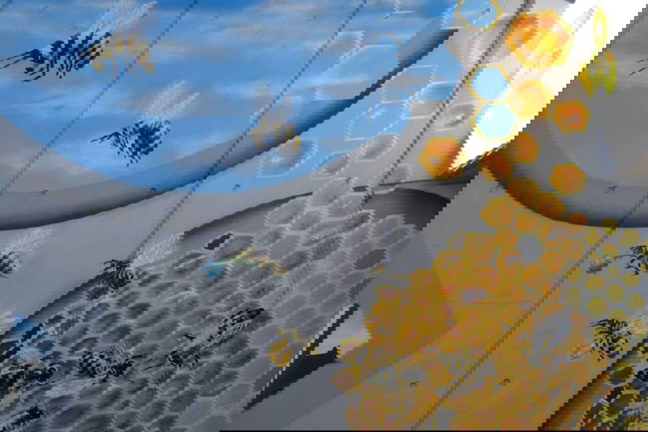 Graffiti Wall - Photo by PepperSprayCans