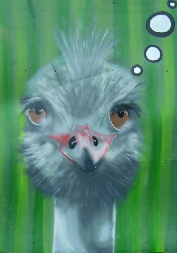 Graffiti Wall - Photo by PepperSprayCans