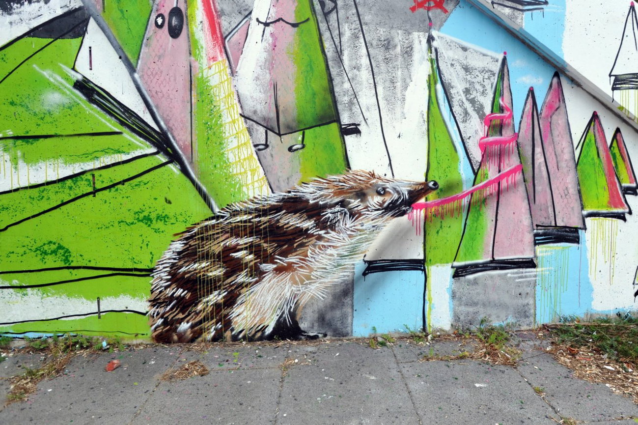 Graffiti Wall - Photo by PepperSprayCans