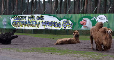 Graffiti Wall - Photo by PepperSprayCans