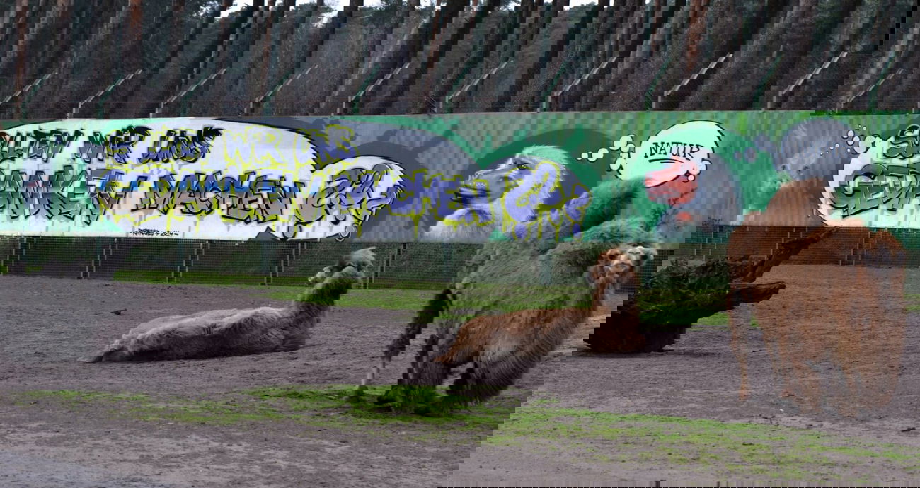 Graffiti Wall - Photo by PepperSprayCans