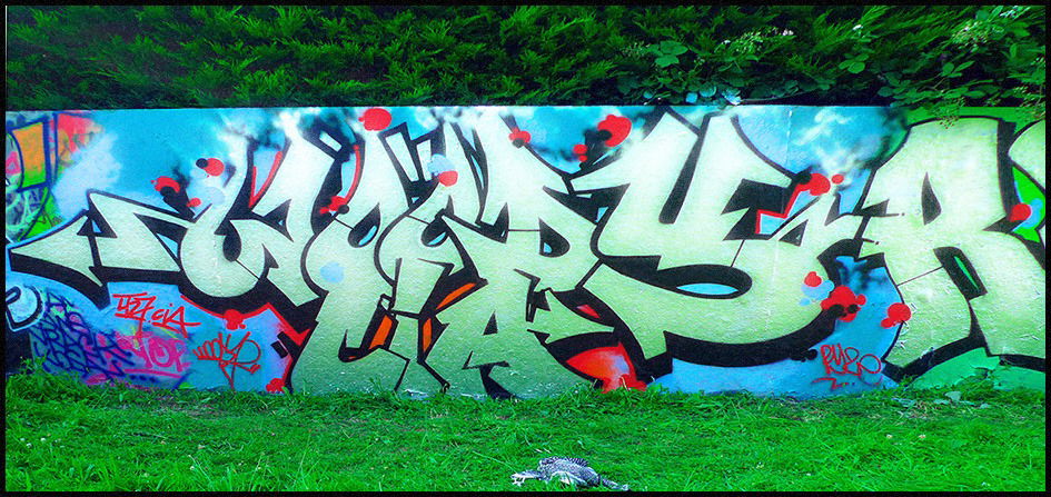 Graffiti Wall - Photo by Perry - Woody, graffiti, tag (2013)