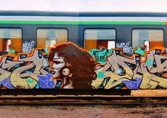 Graffiti Wall - Photo by Perry - Woody, Graff, Graffiti (1999)