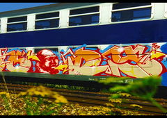 Graffiti Train - Photo by Perry - WOODY, GRAFFITI, PARIS (1998)