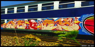 Graffiti Train - Photo by Perry - WOODY, GRAFFITI, PARIS (1998)
