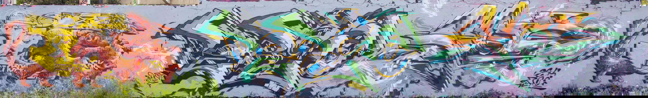 Graffiti Wall - Photo by Perso - riots, dhos, perso (2014)