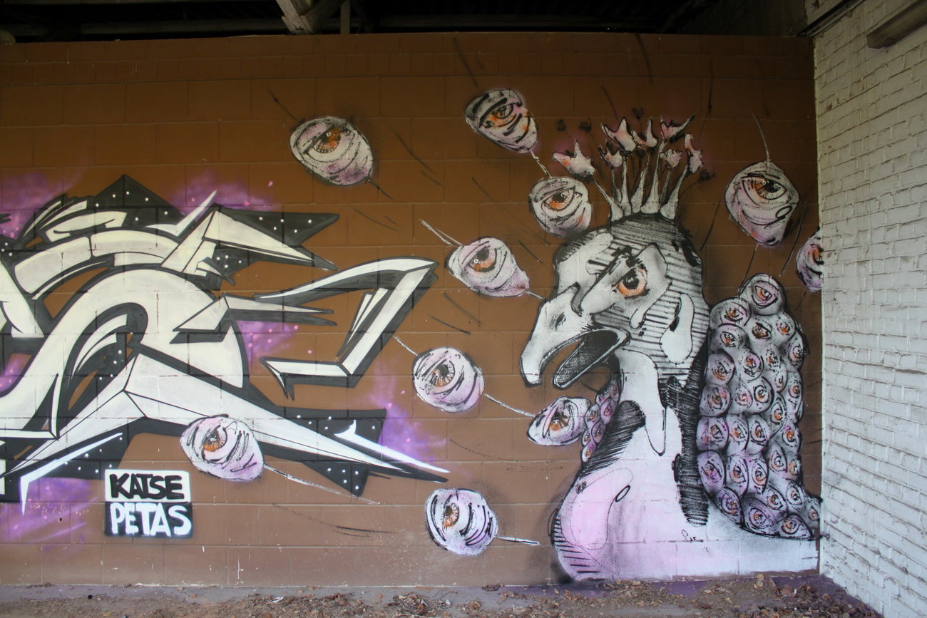 Graffiti Wall - Photo by Petas - Petas