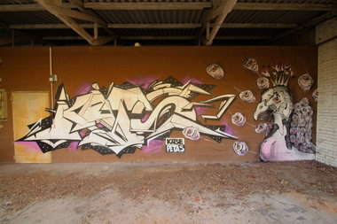 Graffiti Wall - Photo by Petas - Katse, Petas