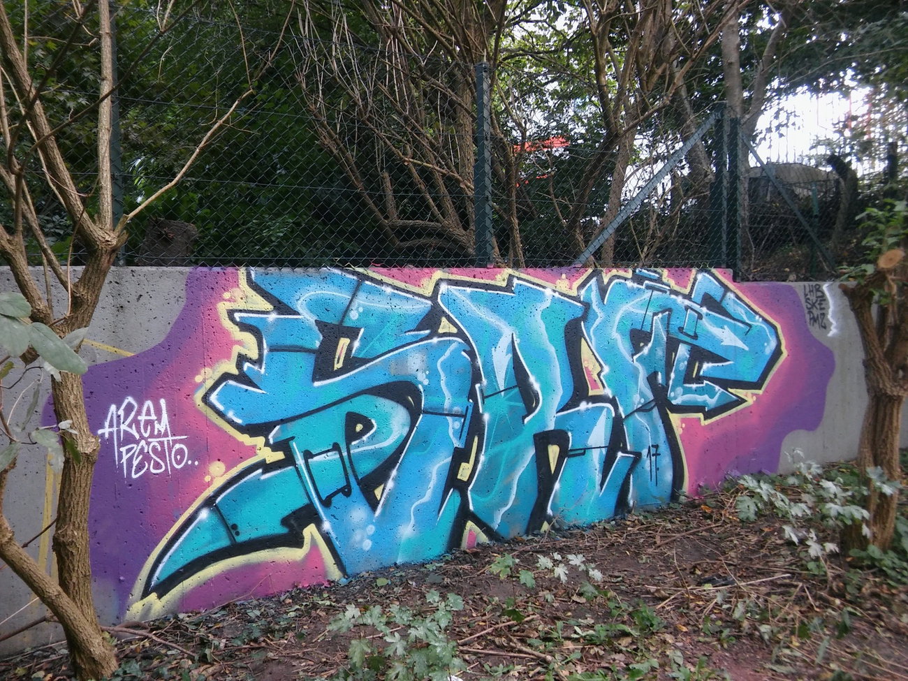 Graffiti Wall - Photo by PeterPetersen - srf