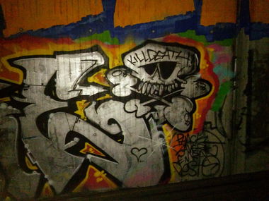 Graffiti Wall - Photo by PeterPetersen - ripfare, srf