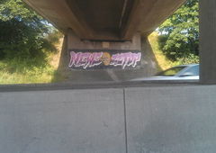 Photo #113750 by Tron