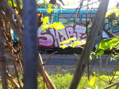 Graffiti Train in Frankfurt - Photo by PetreUhlman - Share, Gpc, Frankfurt