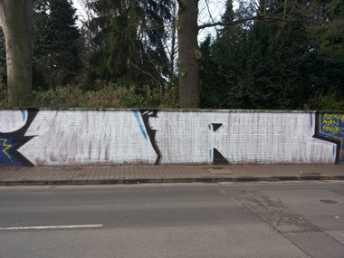 Graffiti Bombing - Photo by PetreUhlman - Ir, Crew, Resq (2013)