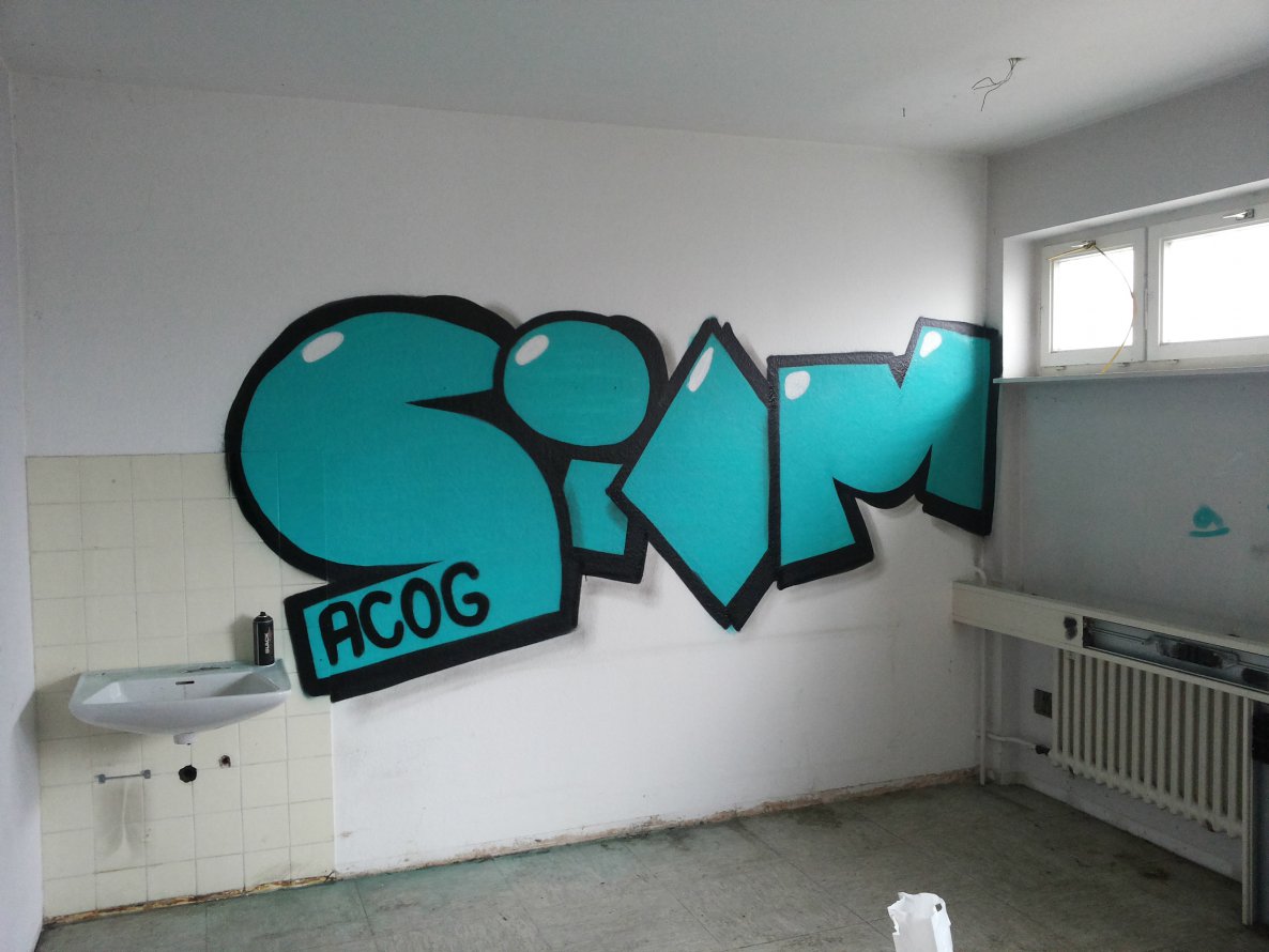 Graffiti Bombing - Photo by PetreUhlman - Siom, Acog, 2014