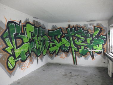 Graffiti Wall - Photo by PetreUhlman - Beks, Tokeio, Fuck