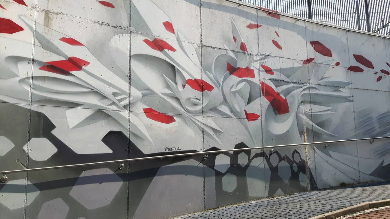 Graffiti Wall in Venice - Photo by PhoenixDraws (2015)