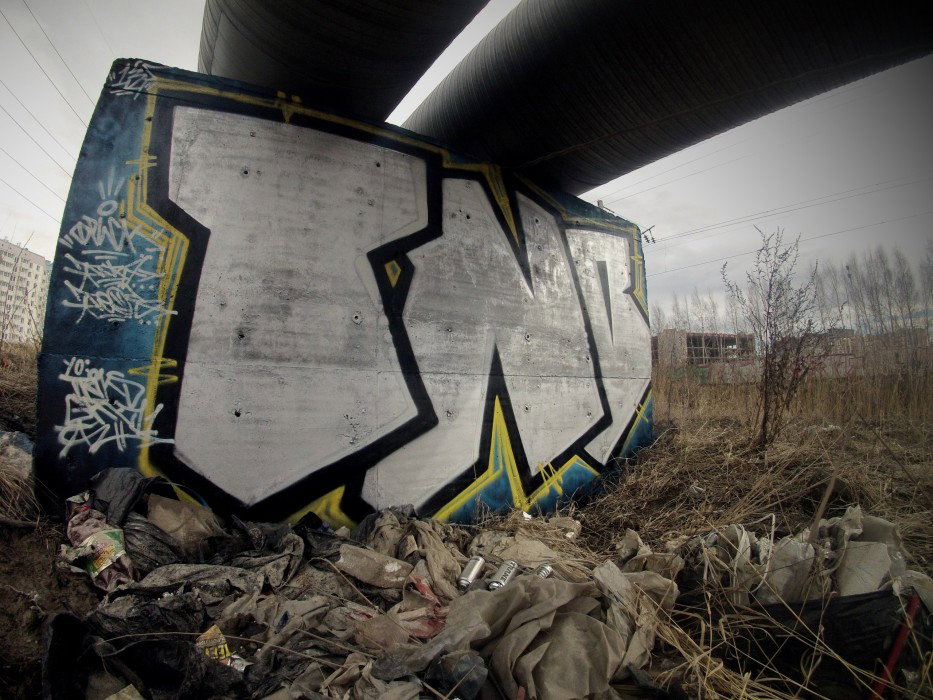 Graffiti Bombing in Rissia - Photo by Phreesker - tnb, tnbs, frisk
