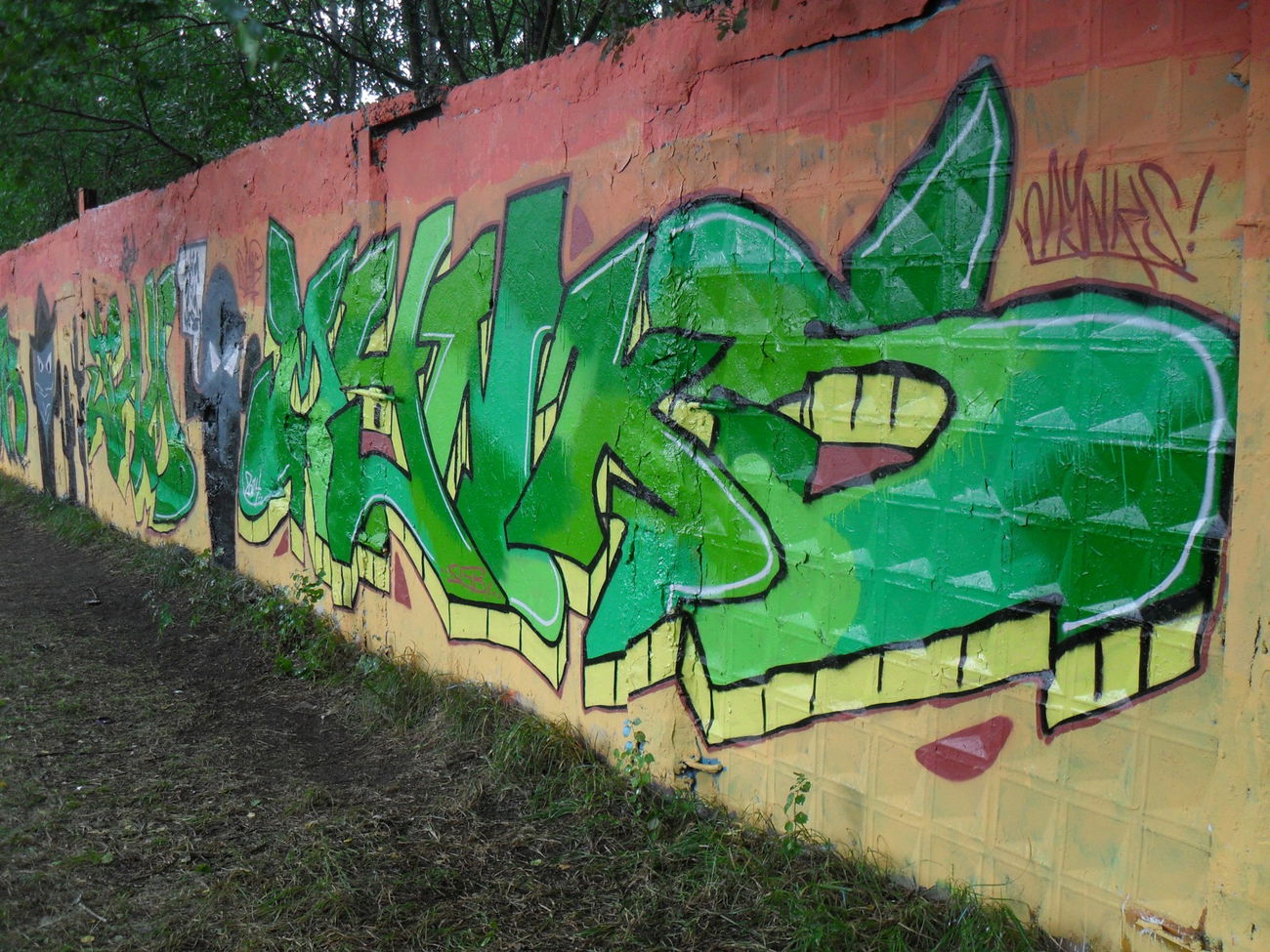 Graffiti Wall - Photo by Phunkone (2013)
