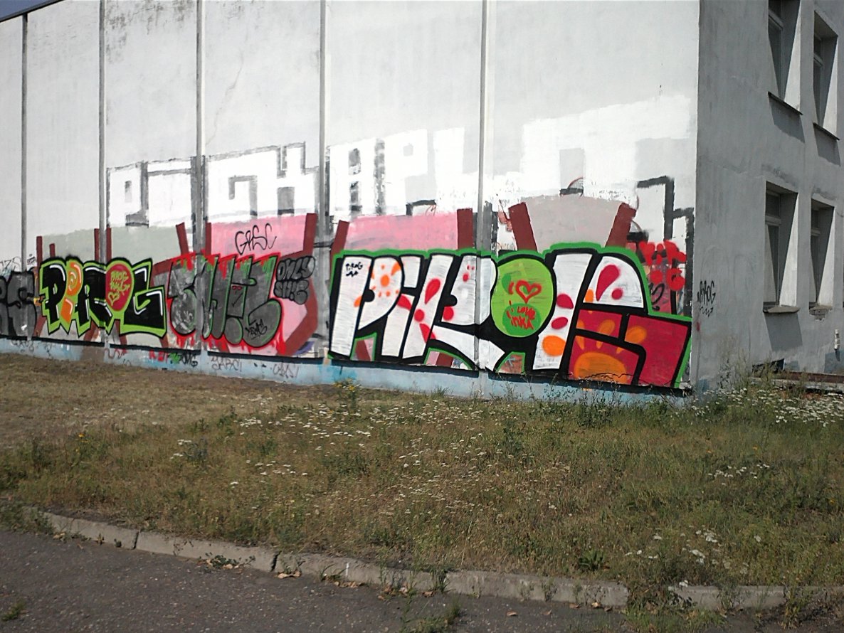 Graffiti Bombing - Photo by Pies_one - pirog, pies, swig (2013)