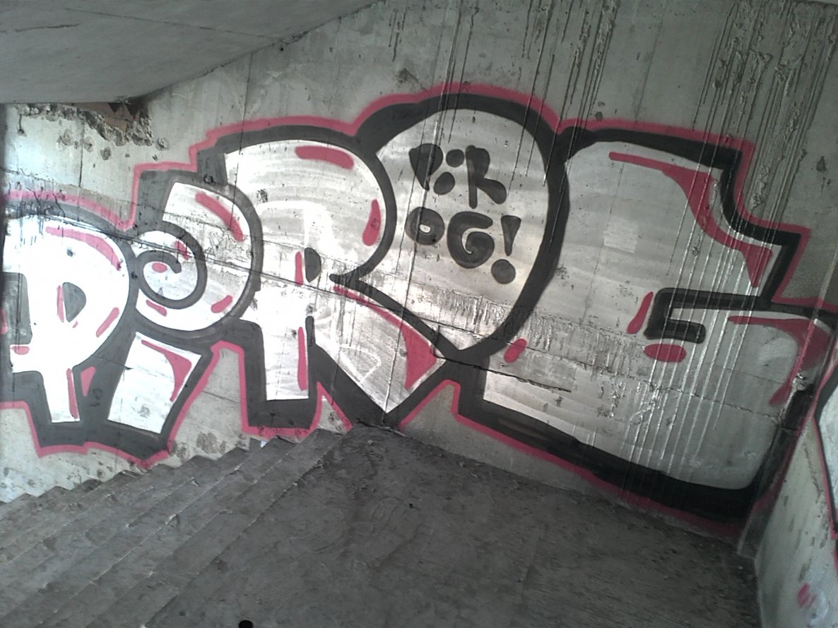 Graffiti Bombing - Photo by Pies_one - Pirog, pies (2012)