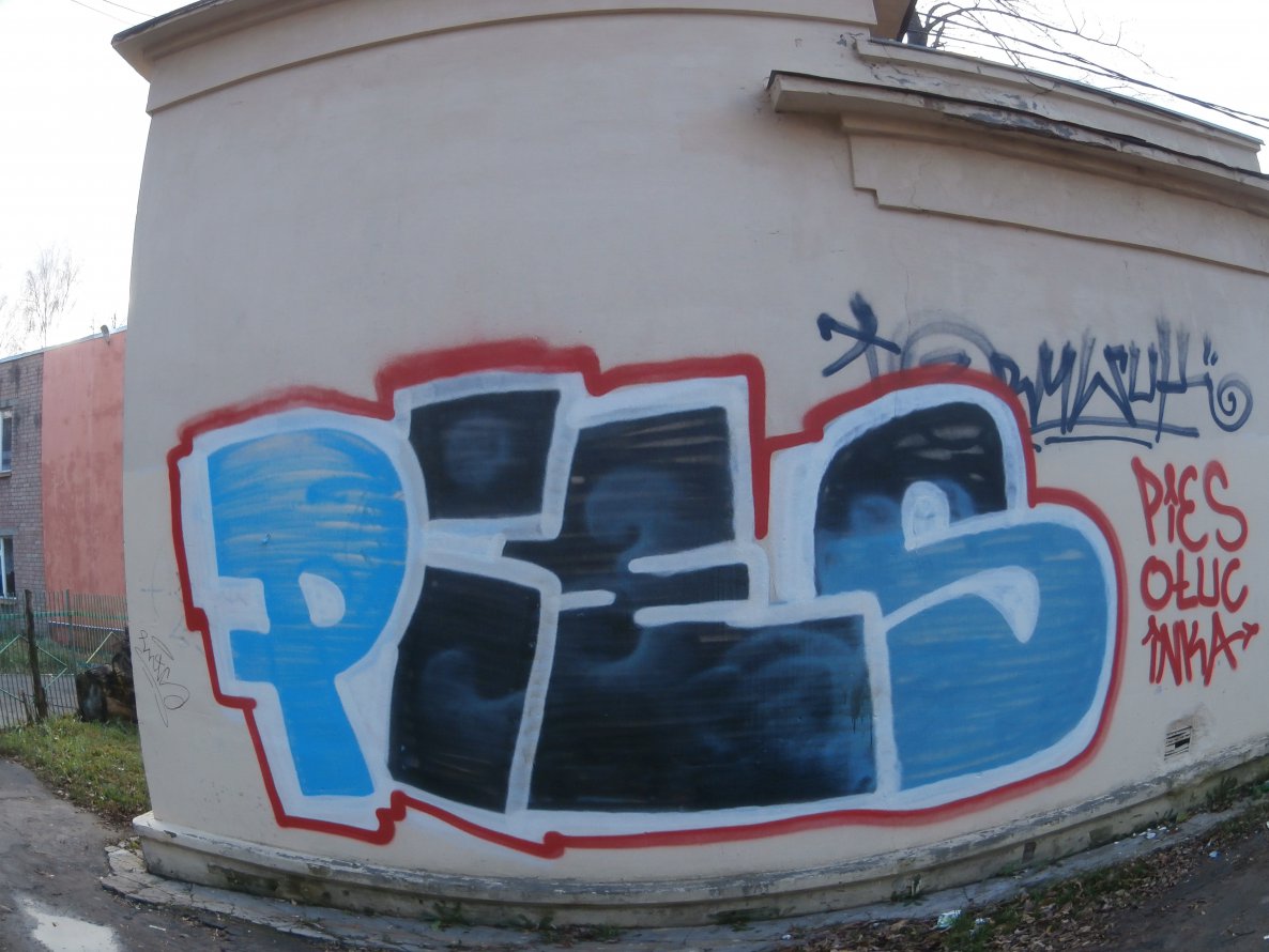Graffiti Bombing - Photo by Pies_one - pies (2013)